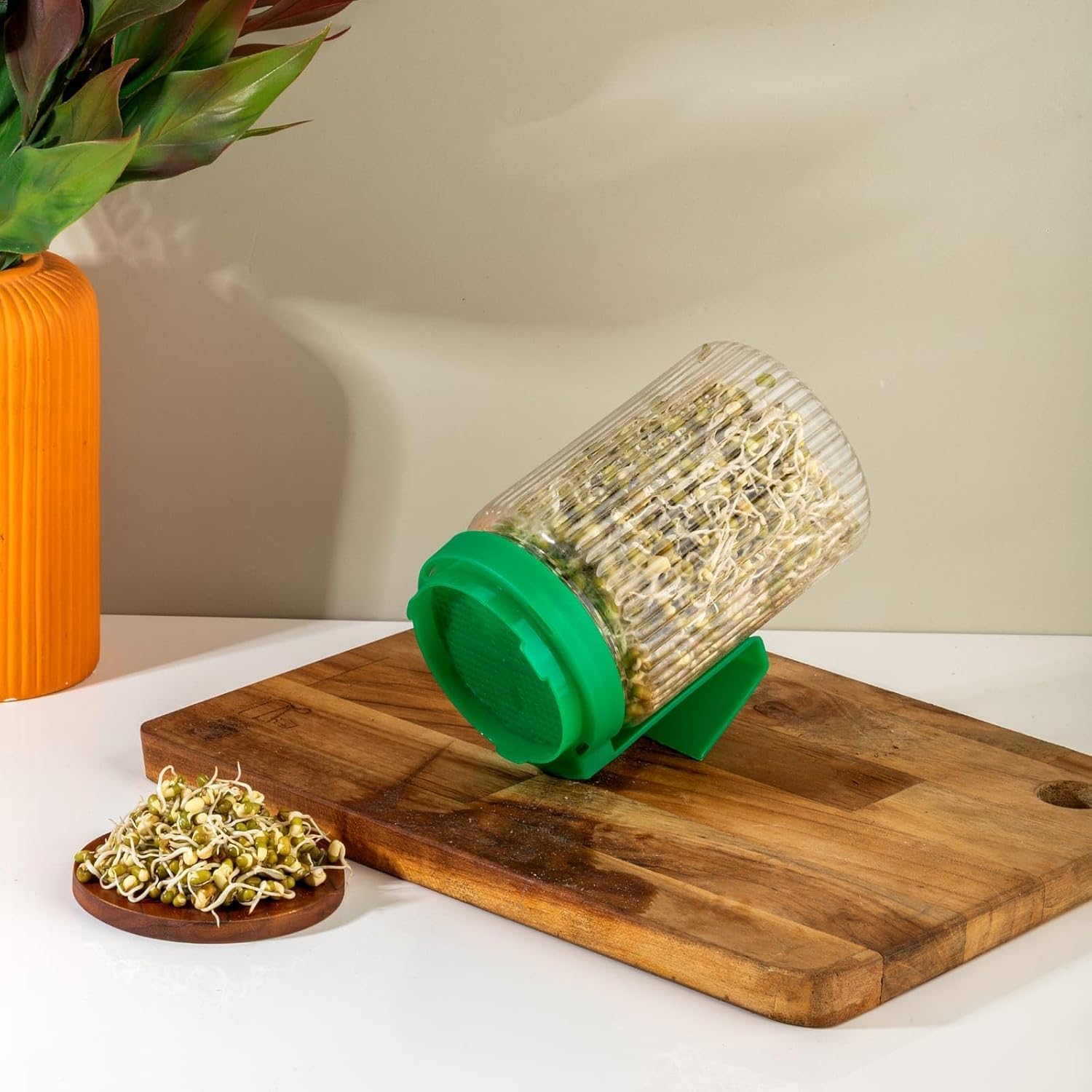 360° Rotating Sprouts Maker Jar with Stand